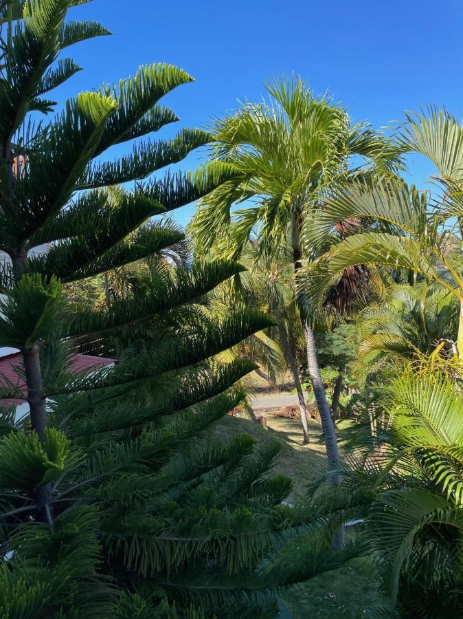 Jardin Sur Mer Terre-De-Haut Dış mekan fotoğraf