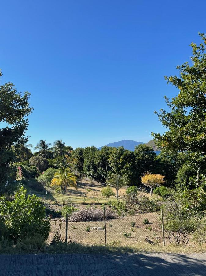 Jardin Sur Mer Terre-De-Haut Dış mekan fotoğraf