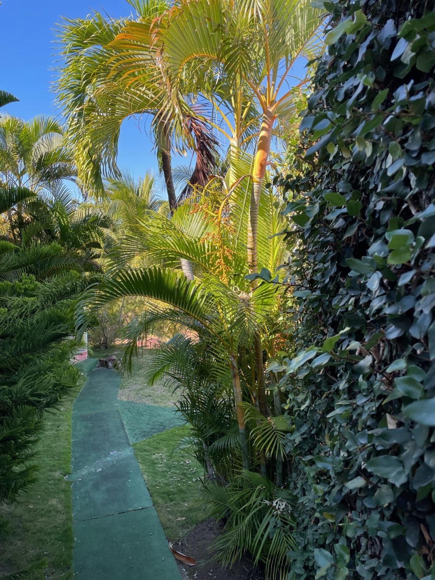 Jardin Sur Mer Terre-De-Haut Dış mekan fotoğraf